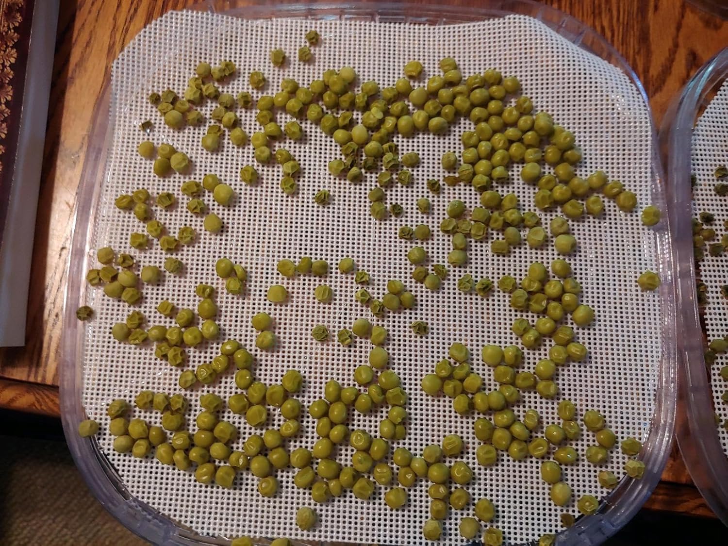 8 hojas deshidratadoras de silicona, alfombrillas deshidratadoras antiadherentes de primera calidad, malla para secadora de frutas para