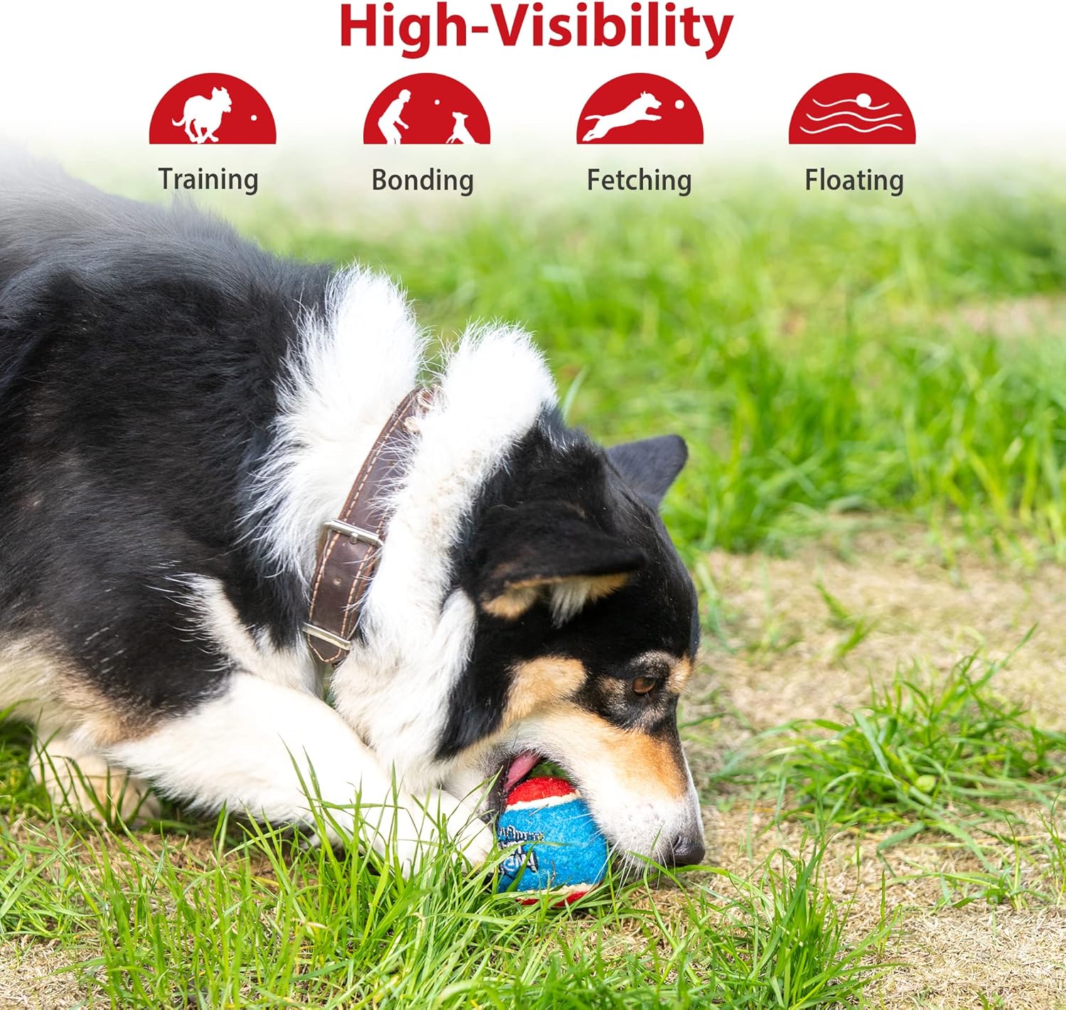 GiGwi Pelotas de tenis para perros, pelotas de tenis para perros chirriantes para ejercicio, pelotas de perro con gran capacidad de rebote de