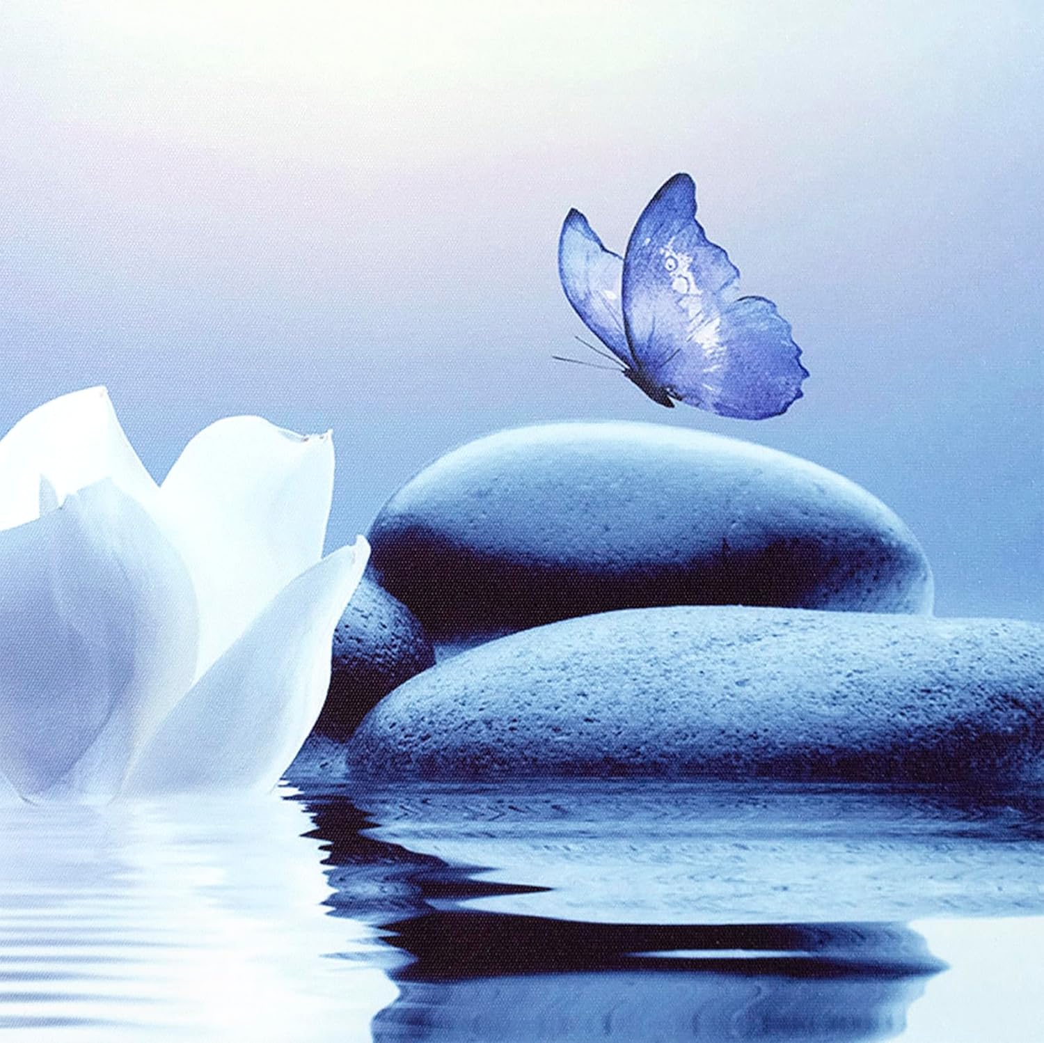 EOBTAIN Lienzo de flores blancas zen, arte de pared, diseño floral y mariposa azul sobre piedra, cuadro moderno enmarcado para yoga, spa, pintura