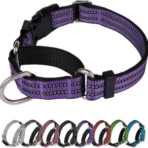 Martingale – Collar para perro, collar reflectante de nailon ajustable con hebilla. Sin tirones para perros pequeños, medianos y grandes. Evita que Martingale – Collar para perro, collar reflectante de nailon ajustable con hebilla. Sin tirones para perros pequeños, medianos y grandes. Evita que