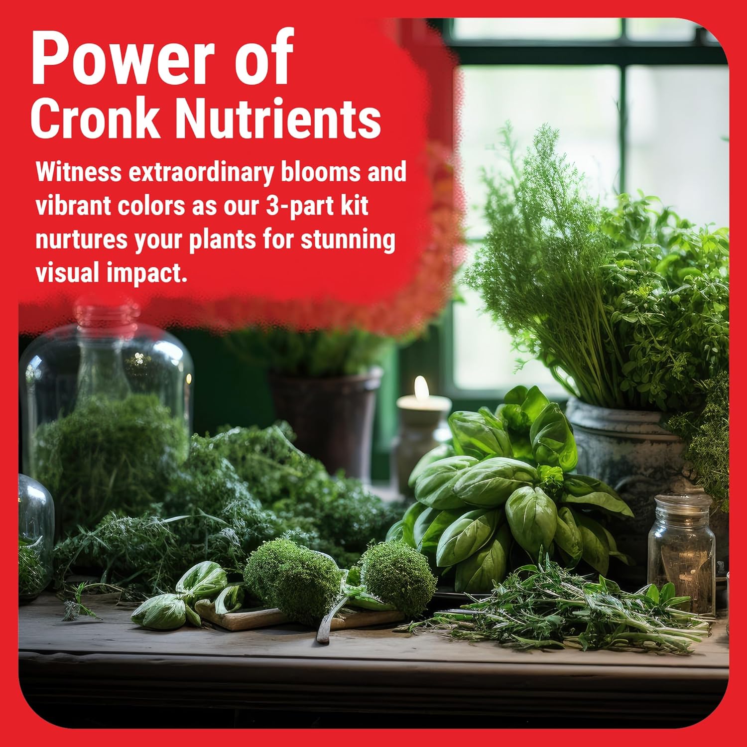 Cronk Grow Nutrientes hidropónicos  Fertilizante vegetal  Macro y Micro nutrientes para plantas de interior  Compatible con suelo y jardín