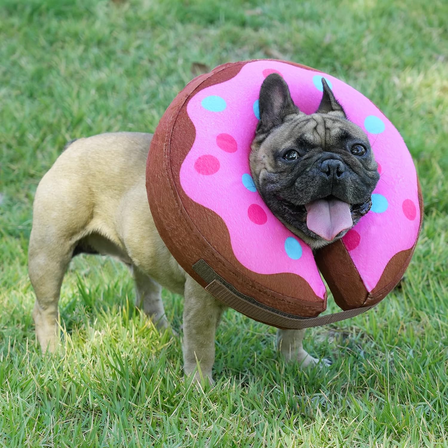 Collar inflable de cono para perros y gatos, collar suave de recuperación de mascotas que no bloquea la visión E-Collar (M, rosa)