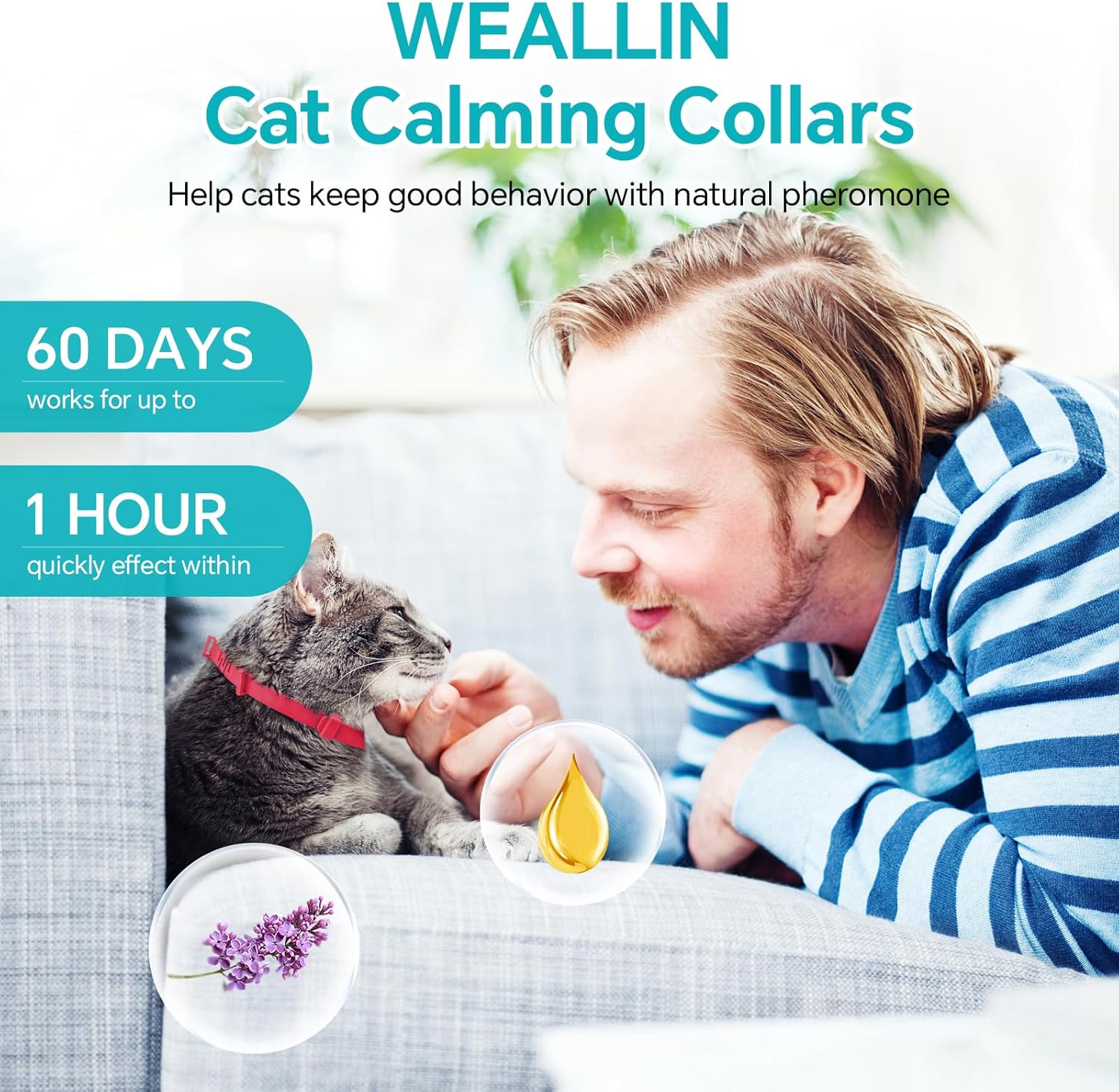 4 paquetes de collar calmante para gatos, collar calmante para gatos, alivio de la ansiedad y la agresión, collar de feromonas del estrés para