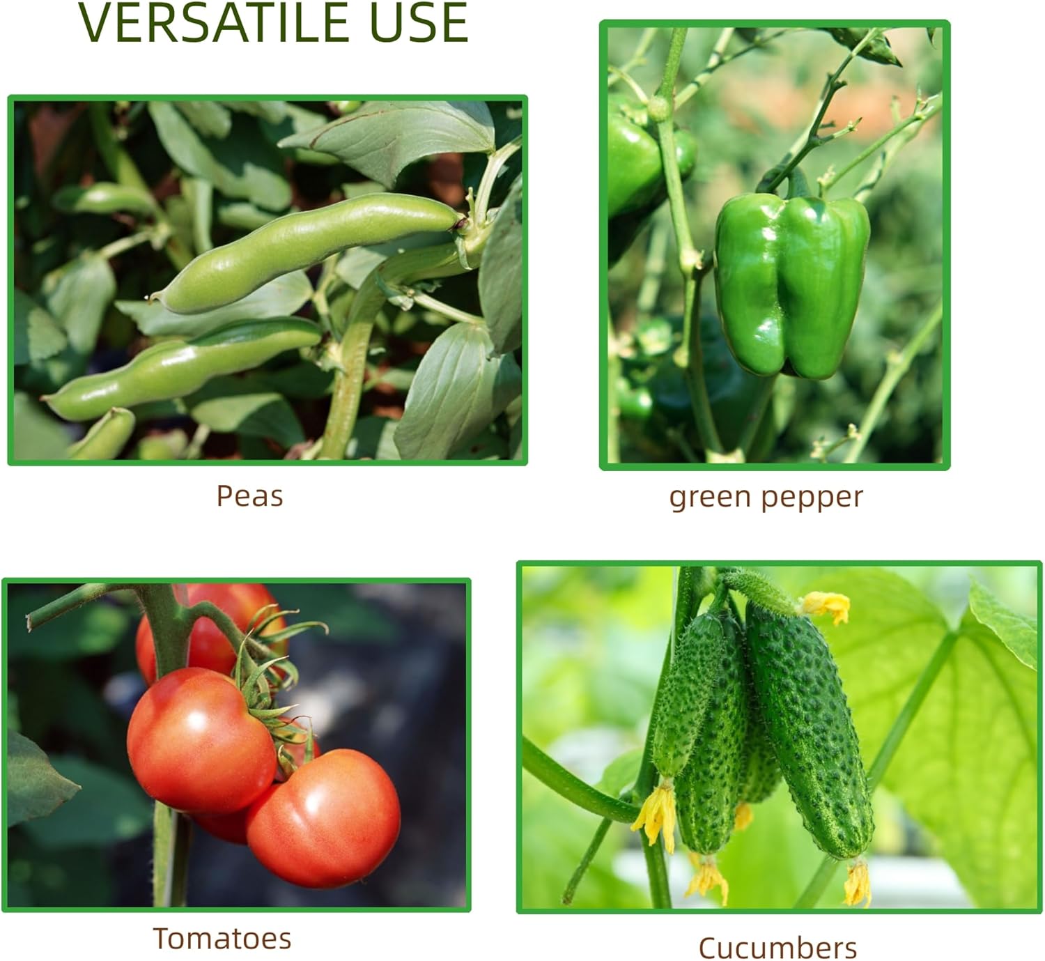 Enrejado de metal para jardín de 24 pulgadas para plantas trepadoras, enrejado resistente para plantas en maceta, plantas de interior, enredaderas