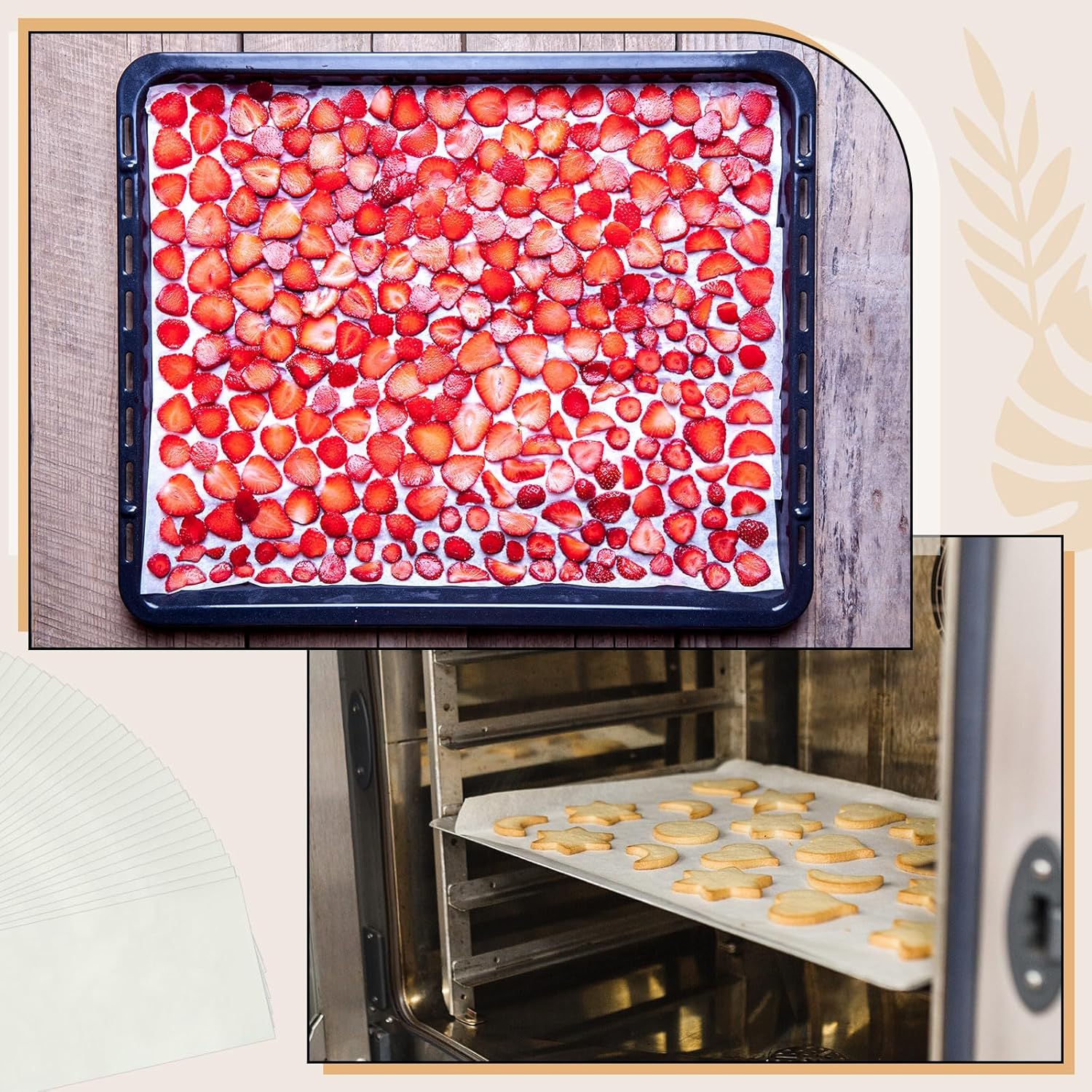 Juego de 200 bandejas para liofilizar, papel pergamino, accesorios de servicio de alimentos precortados compatibles con bandejas de secado de