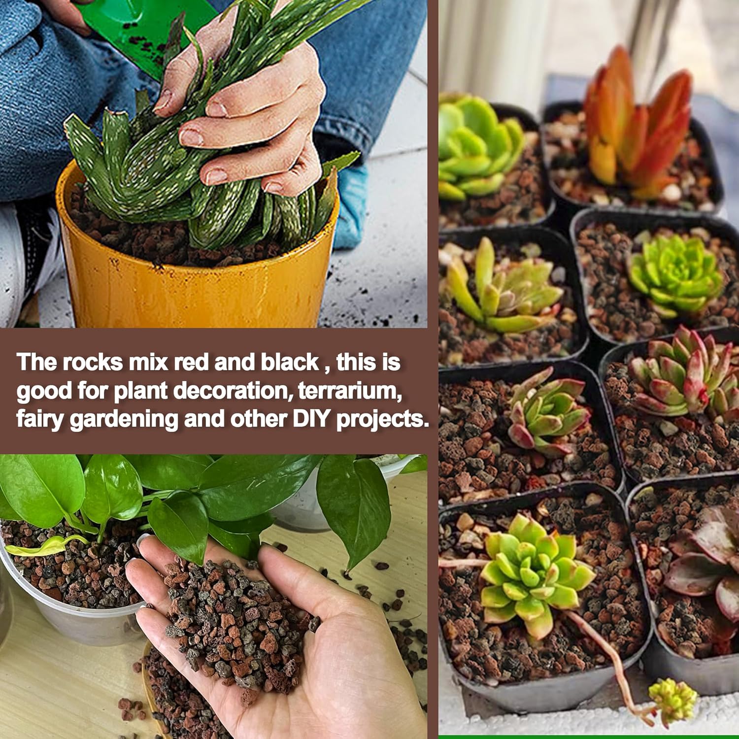 Mezcla de rocas de lava de 3 libras para plantas, para horticultura, roca volcánica, grava para paisajismo, drenaje, suculentas, bonsái, rellenos de