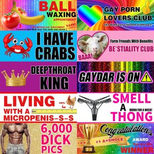 10 calcomanías magnéticas divertidas de broma para parachoques, arcoíris de orgullo gay para adultos, letrero magnético para vehículo, camión, 10 calcomanías magnéticas divertidas de broma para parachoques, arcoíris de orgullo gay para adultos, letrero magnético para vehículo, camión,