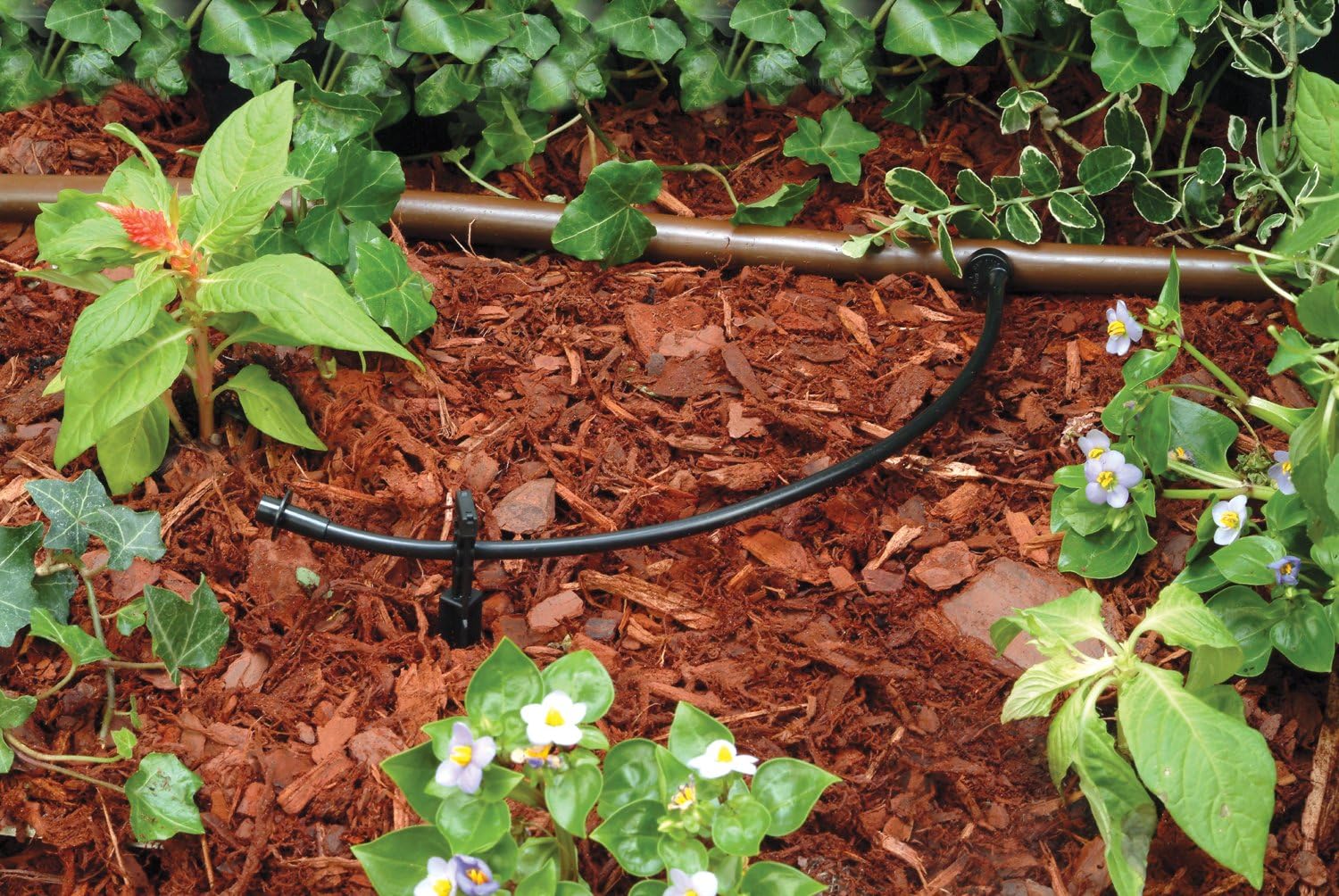 Raindrip Tubo de suministro de polietileno negro de 58 pulgadas (500 pies) y Rain Bird Tubo de distribución en blanco de 14 pulgadas (T22-250S)