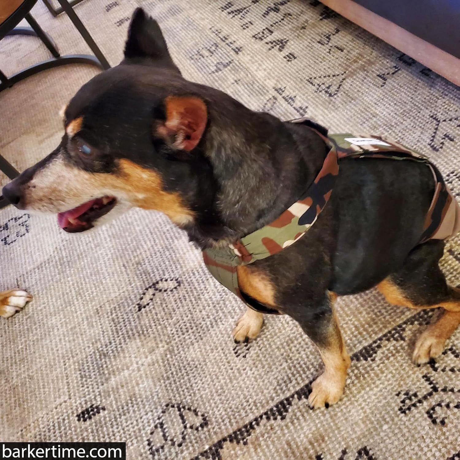 Pañal para perro Camo on Brown, XL, con agujero para la cola, fabricado en Estados Unidos