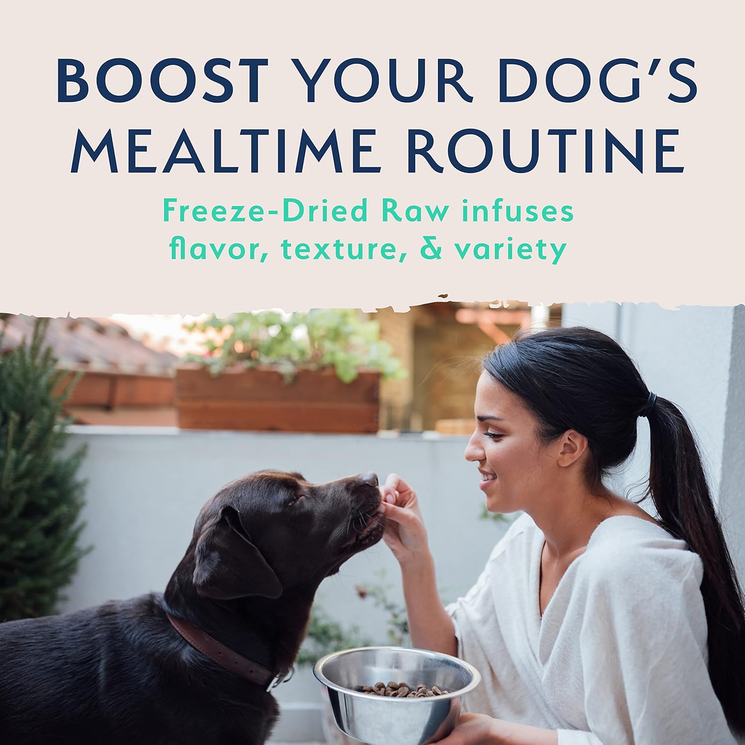 Natural Balance Alimento crudo liofilizado para perros, fórmula para adultos de ingredientes limitados sin granos, ideal como aderezo, golosina o