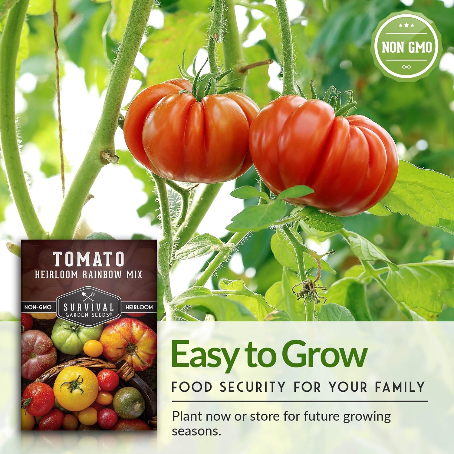 Survival Garden Seeds – Semillas de tomate Heirloom Rainbow Mix para plantar – Paquete con instrucciones para plantar y cultivar en tu huerto casero