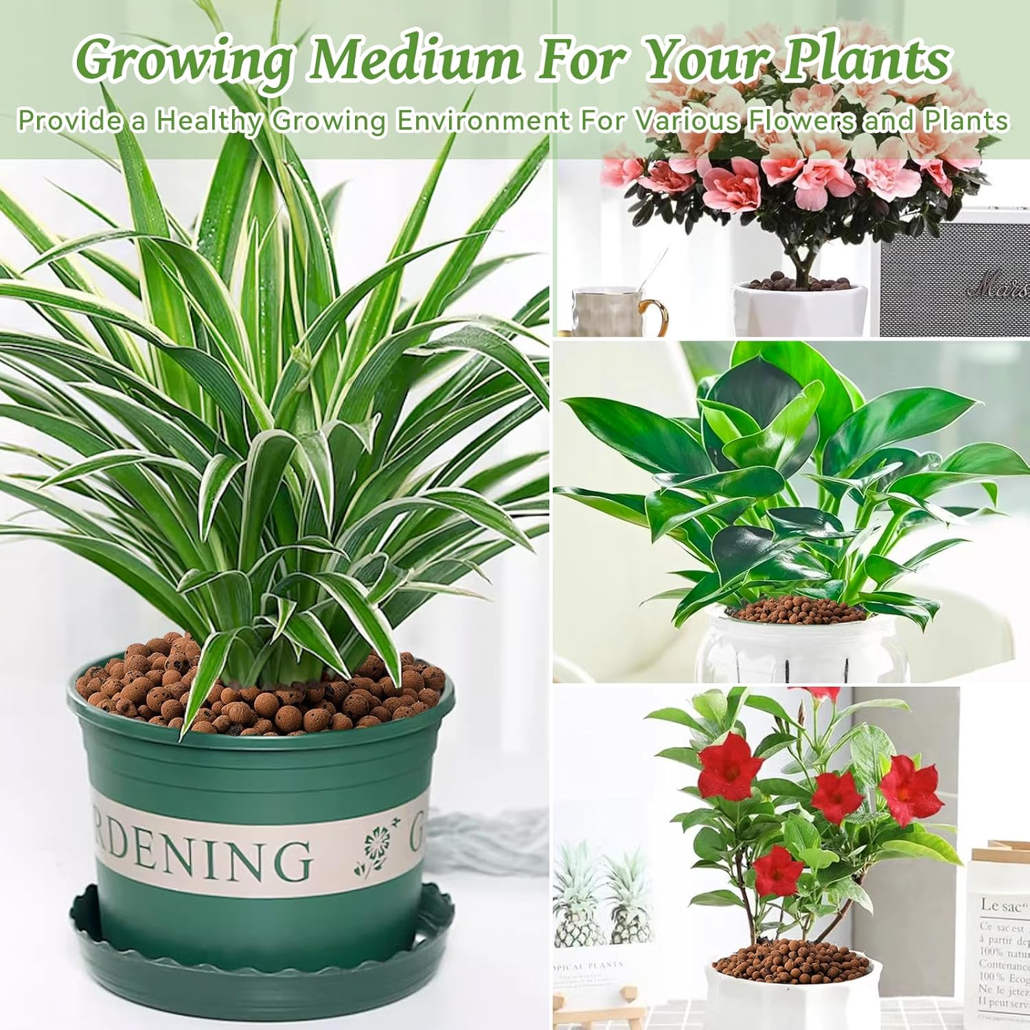 Riare Guijarros de arcilla expandida orgánica de 14 libras para plantas, bolas de leca natural de 0.157 a 0.630 pulgadas, ligeras piedras
