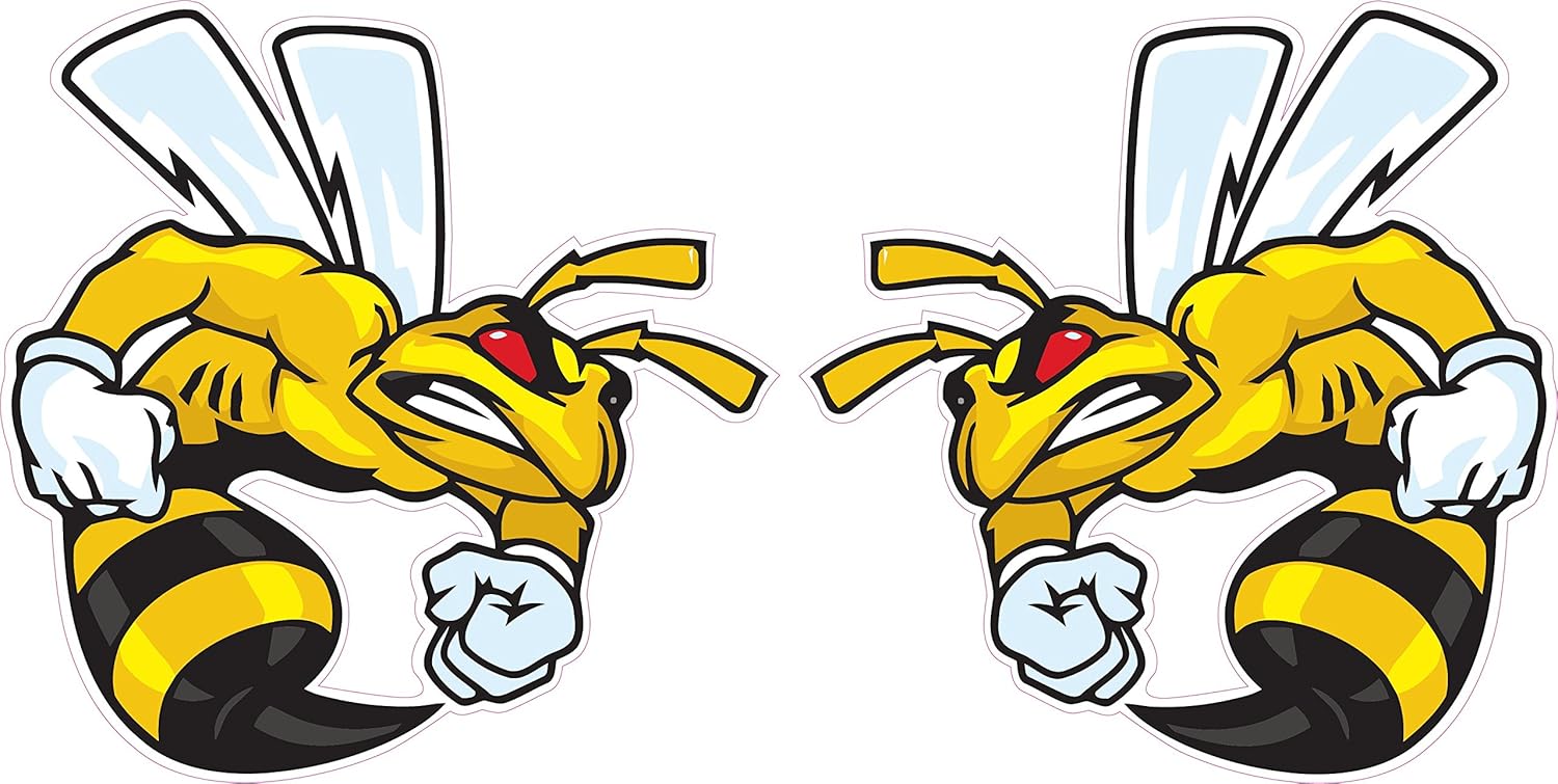 Ski-Doo Angry Bee – Calcomanías de 12 pulgadas cada uno