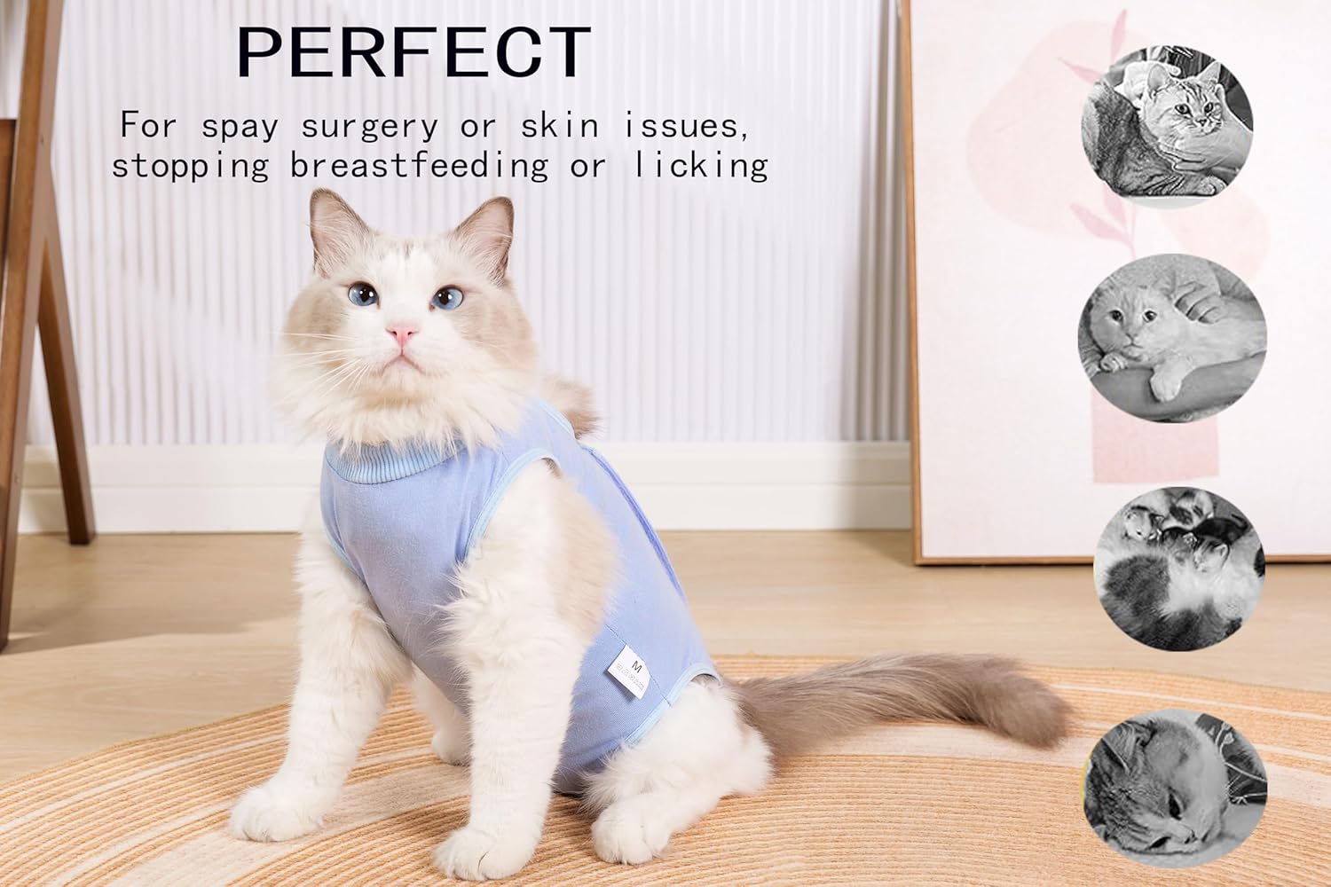 Traje de recuperación de cirugía de gato, enterizo de gato para gatos después de una cirugía, esterilización quirúrgica poscirugía poscirugía herida