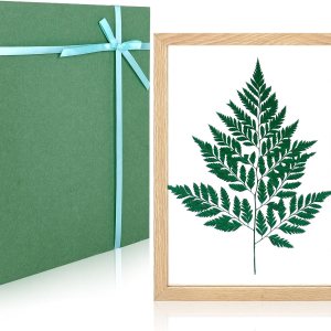 IVN Arte de pared enmarcado marco flotante de plexiglás de madera maciza colgante de 8 x 12 pulgadas con caja de regalo para flores secas prensadas, IVN Arte de pared enmarcado marco flotante de plexiglás de madera maciza colgante de 8 x 12 pulgadas con caja de regalo para flores secas prensadas,