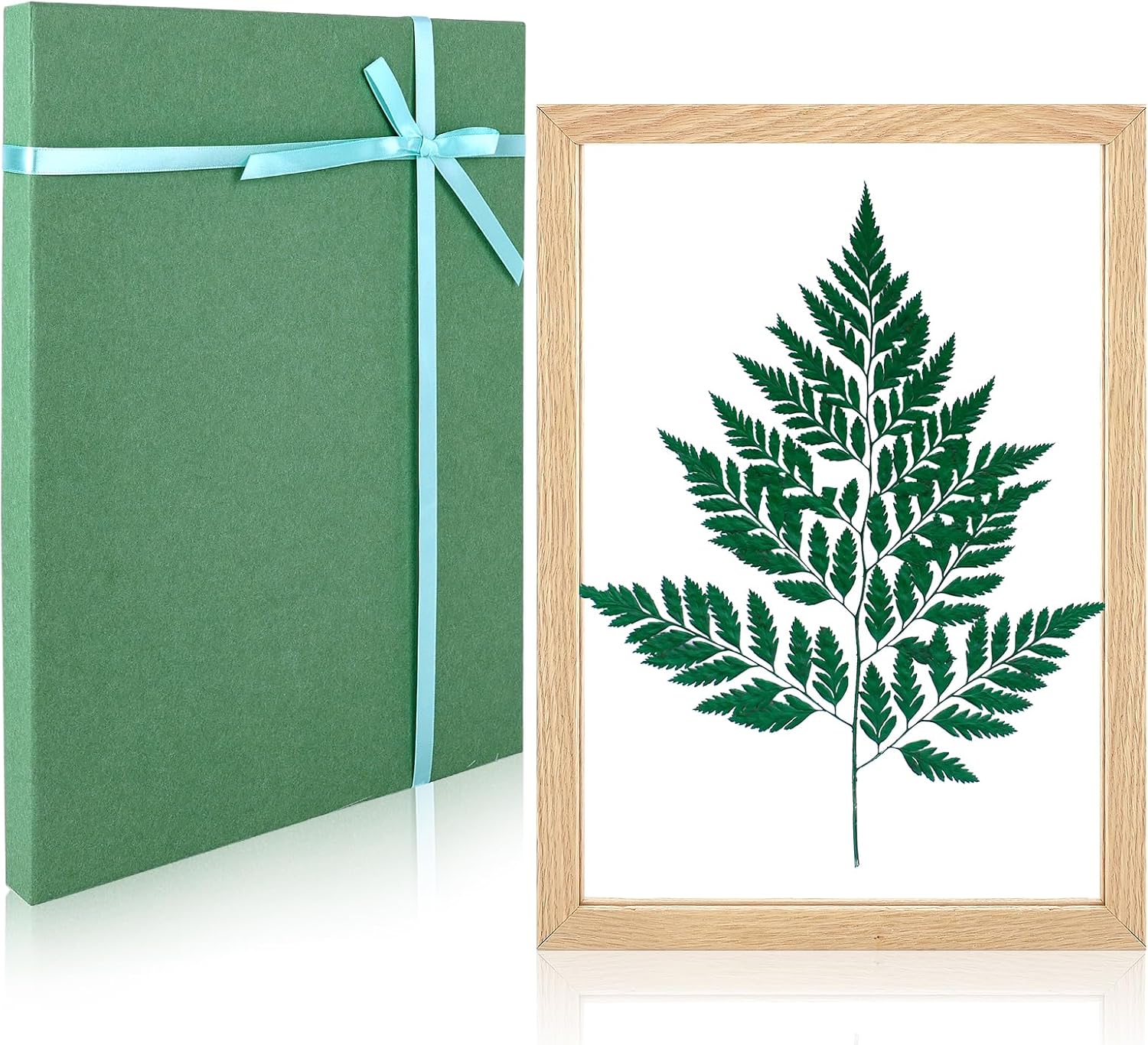 IVN Arte de pared enmarcado marco flotante de plexiglás de madera maciza colgante de 8 x 12 pulgadas con caja de regalo para flores secas prensadas,