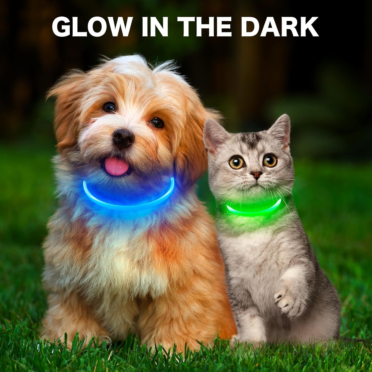 BSEEN Collar de perro iluminado  Collar de perro LED recargable a prueba de lluvia  Collar de mascotas brillante de TPU para perros pequeños y gatos