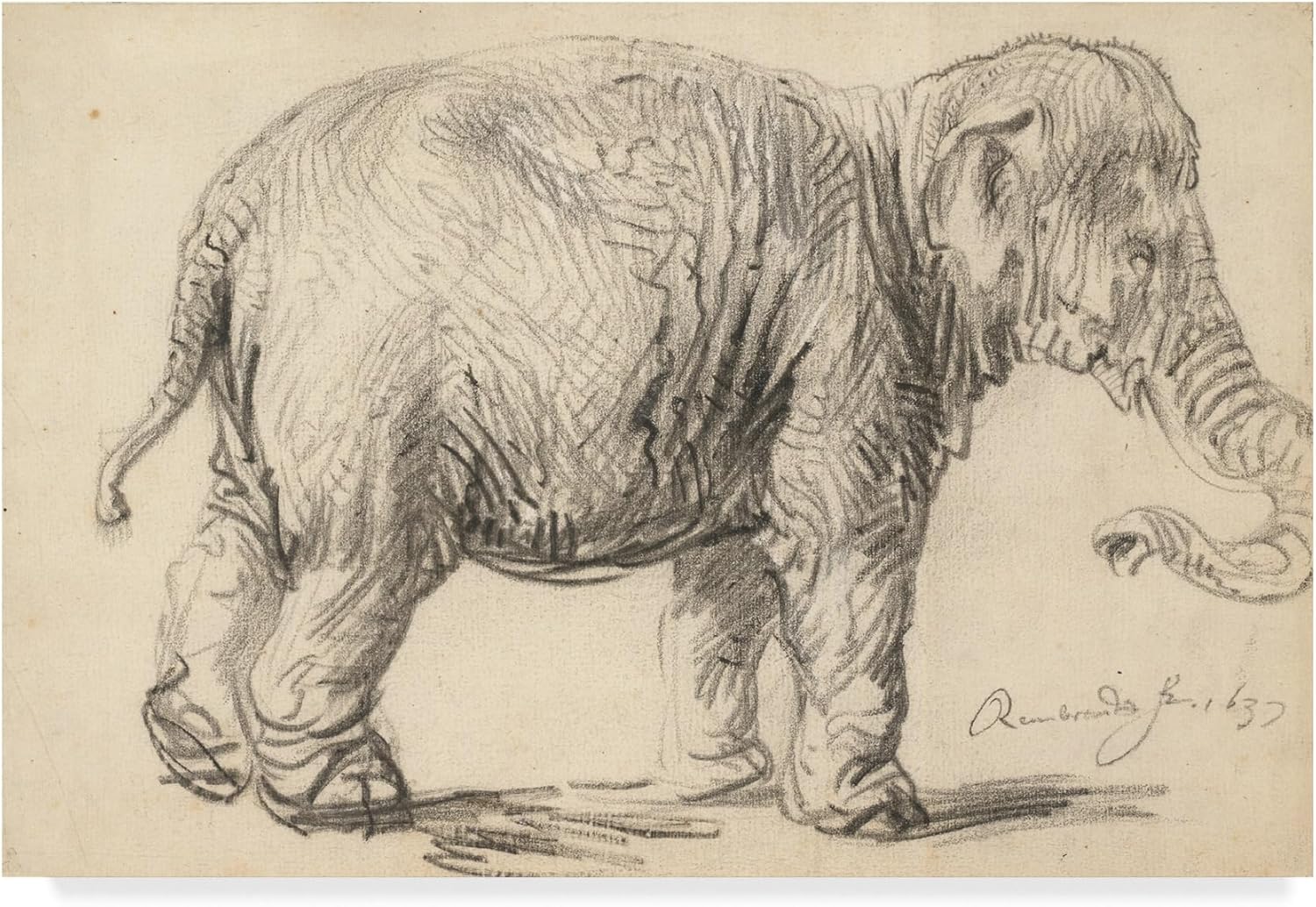Rembrandt ‘Un elefante, 1637’ – Lienzo decorativo