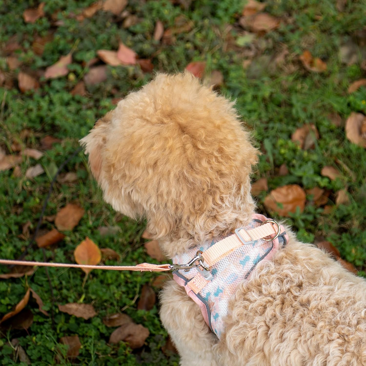 Step in – Juego de arnés y correa para perro, arnés de chaleco suave de verano con estampado floral, reflectante ajustable sin tirones, arnés para