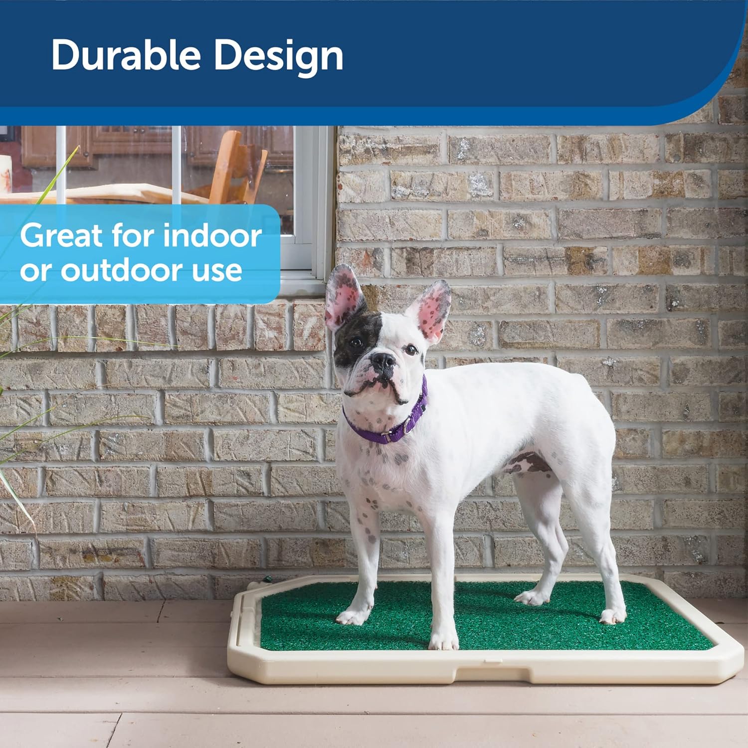PetSafe Hierba de repuesto para sistema de entrenamiento de orinal para perros en interiores, alternativa ecológica a almohadillas para cachorros o