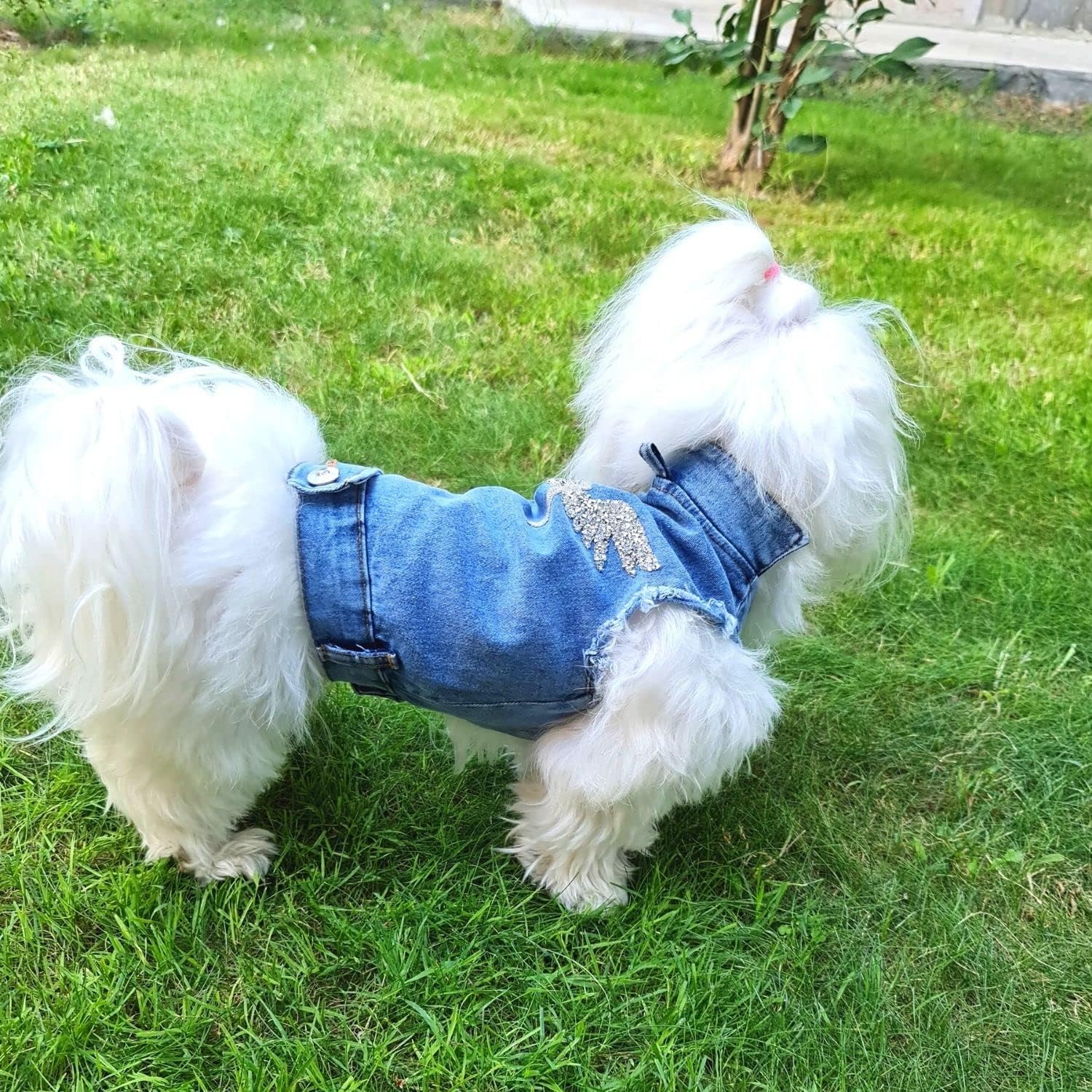 Chaqueta de arnés para perros, Chaqueta de mezclilla para perros, Ropa de perro de lujo, Ropa de perro con diseño de espalda de piedra Swarovski,