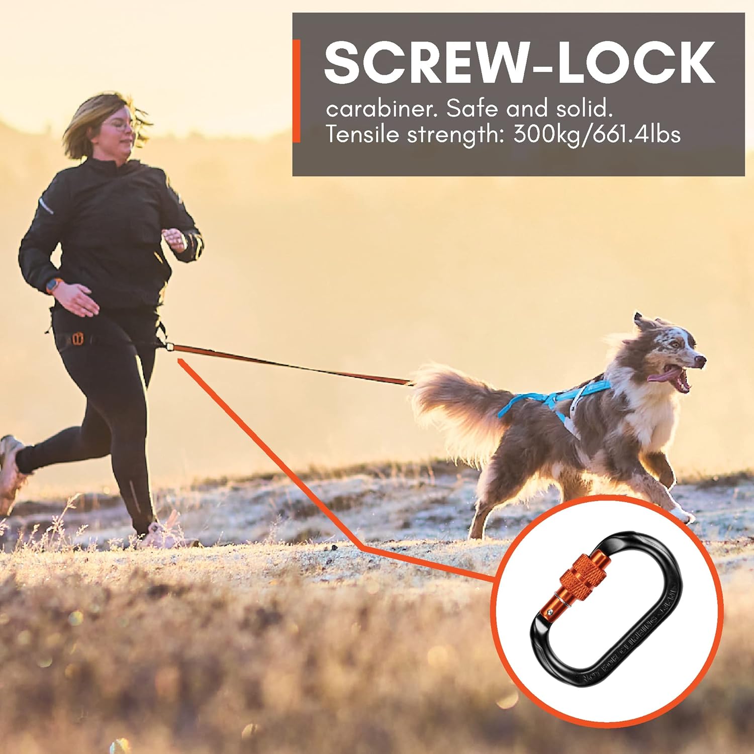 Non-stop dogwear CaniX Cinturón manos libres para perro Canicross. Cómodo cinturón para correr y entrenar perros. Negro, talla S