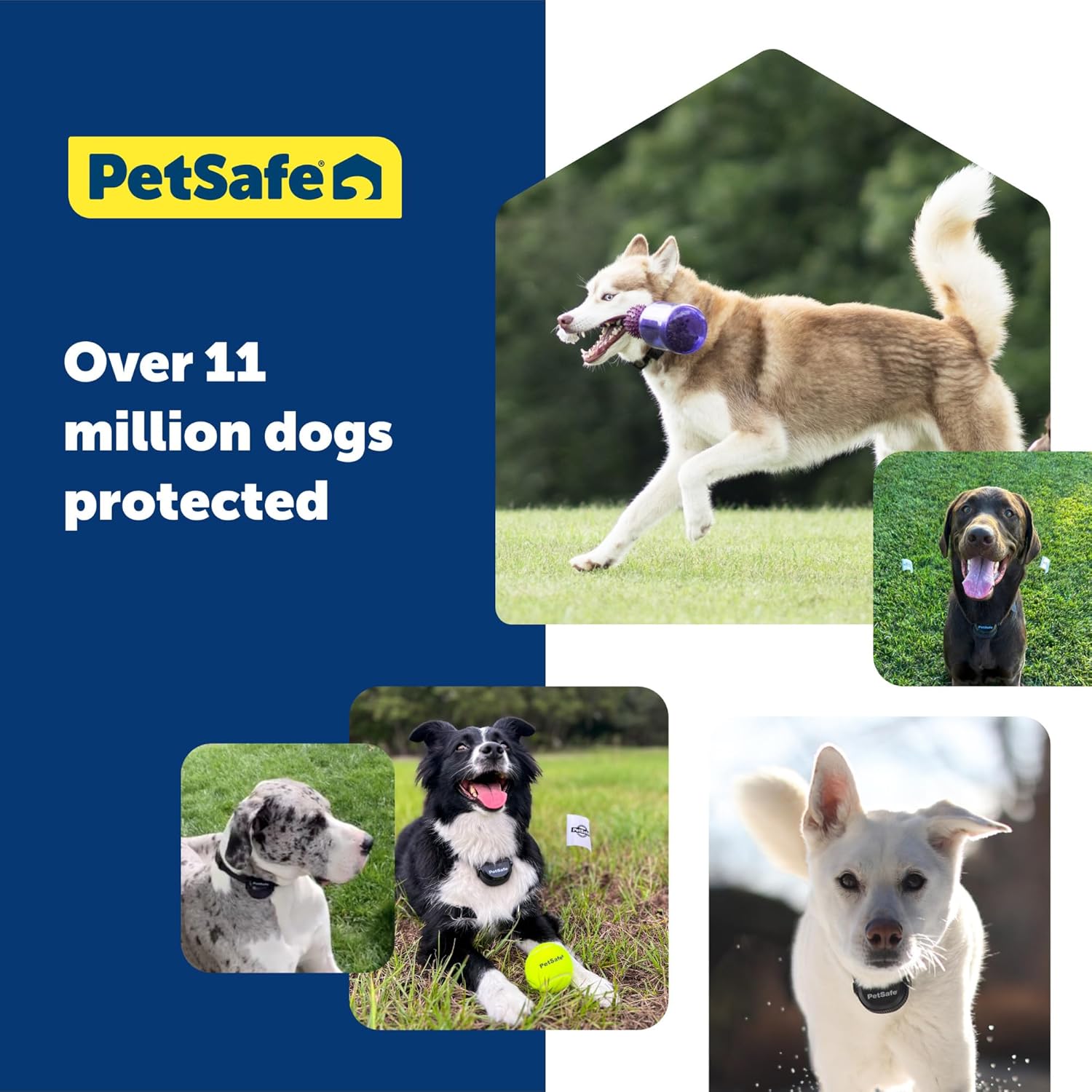 PetSafe Guardian GPS Add-A-Dog Collar para perro  Collar de perro adicional para Guardian GPS conectado con valla personalizable utilizando la
