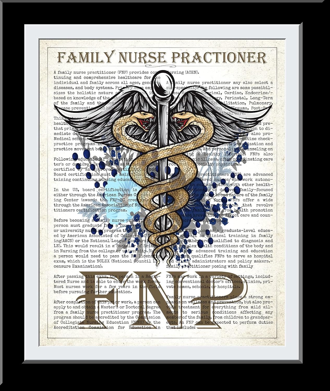 Family Nurse Practitioner Gift, FNP Gift, Nurse Present, Nursing School Graduation Gift Idea, Medical School, FNP Office Decor, Wall Art