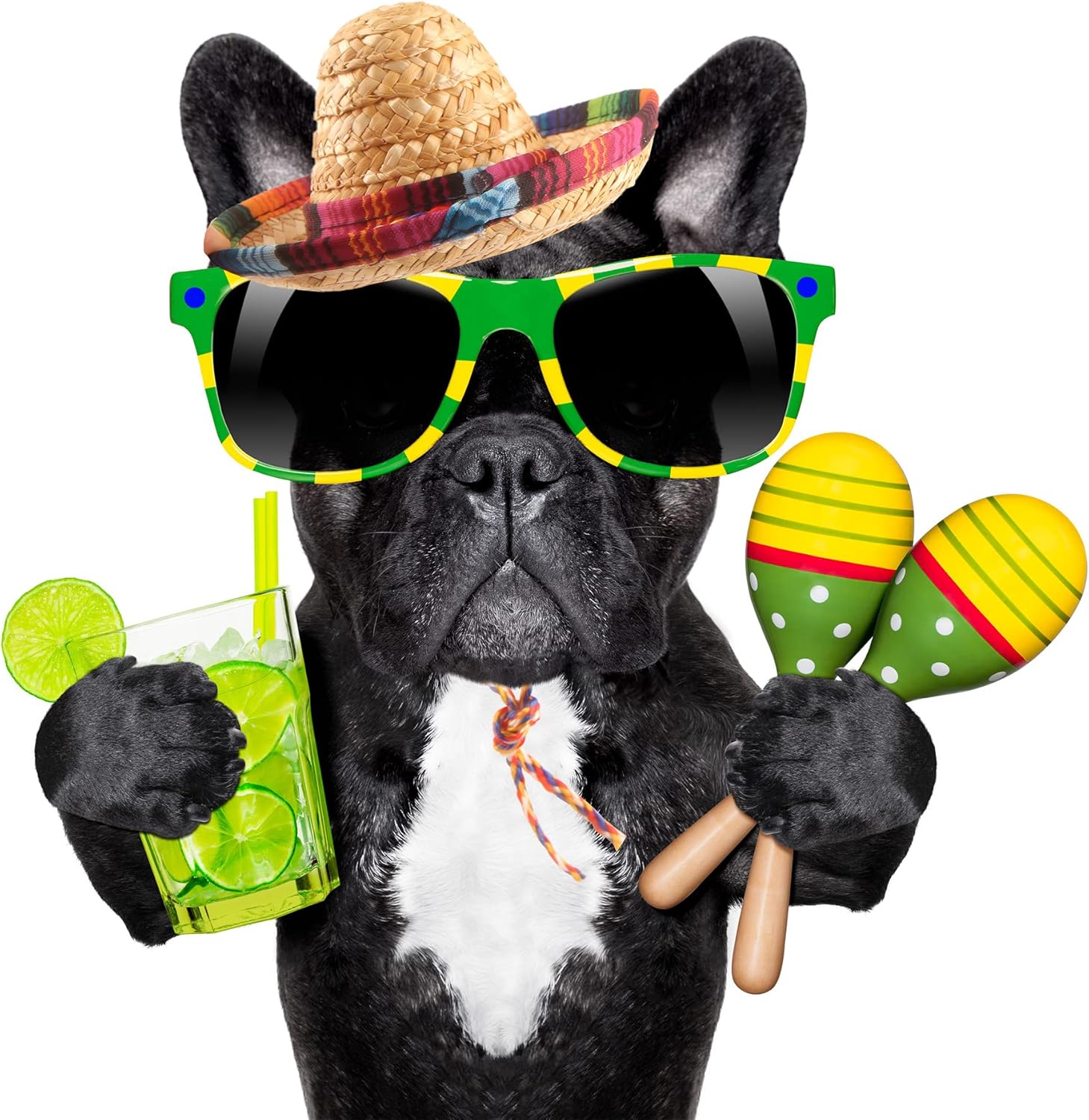 Cagemoga 12 diademas mexicanas para niños, adultos, perros, mascotas