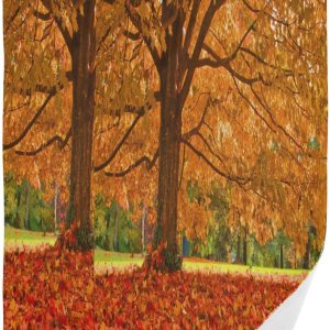 ALAZA Juego de 2 toallas de baño de mano de otoño con hojas de otoño, árboles y árboles, toallas de baño de algodón, suaves y absorbentes, toallas ALAZA Juego de 2 toallas de baño de mano de otoño con hojas de otoño, árboles y árboles, toallas de baño de algodón, suaves y absorbentes, toallas