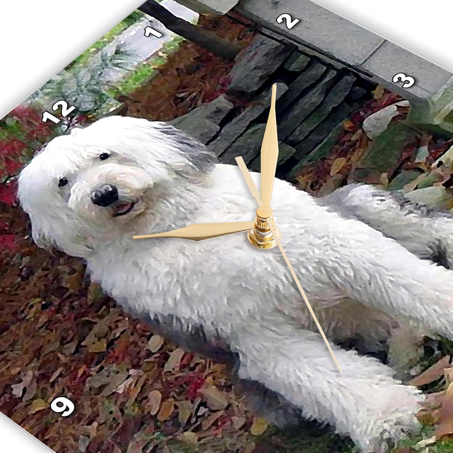 3dRose LLC Old English Sheepdog – Reloj de pared, 10 x 10 pulgadas
