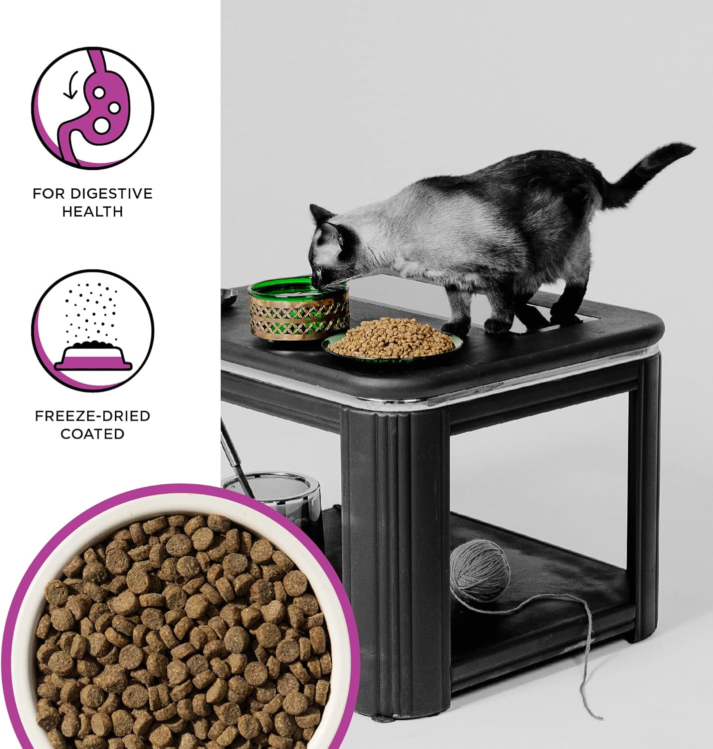 BIXBI Rawbble Dry Food Receta de salud digestiva de pollo para gatos, 10 libras