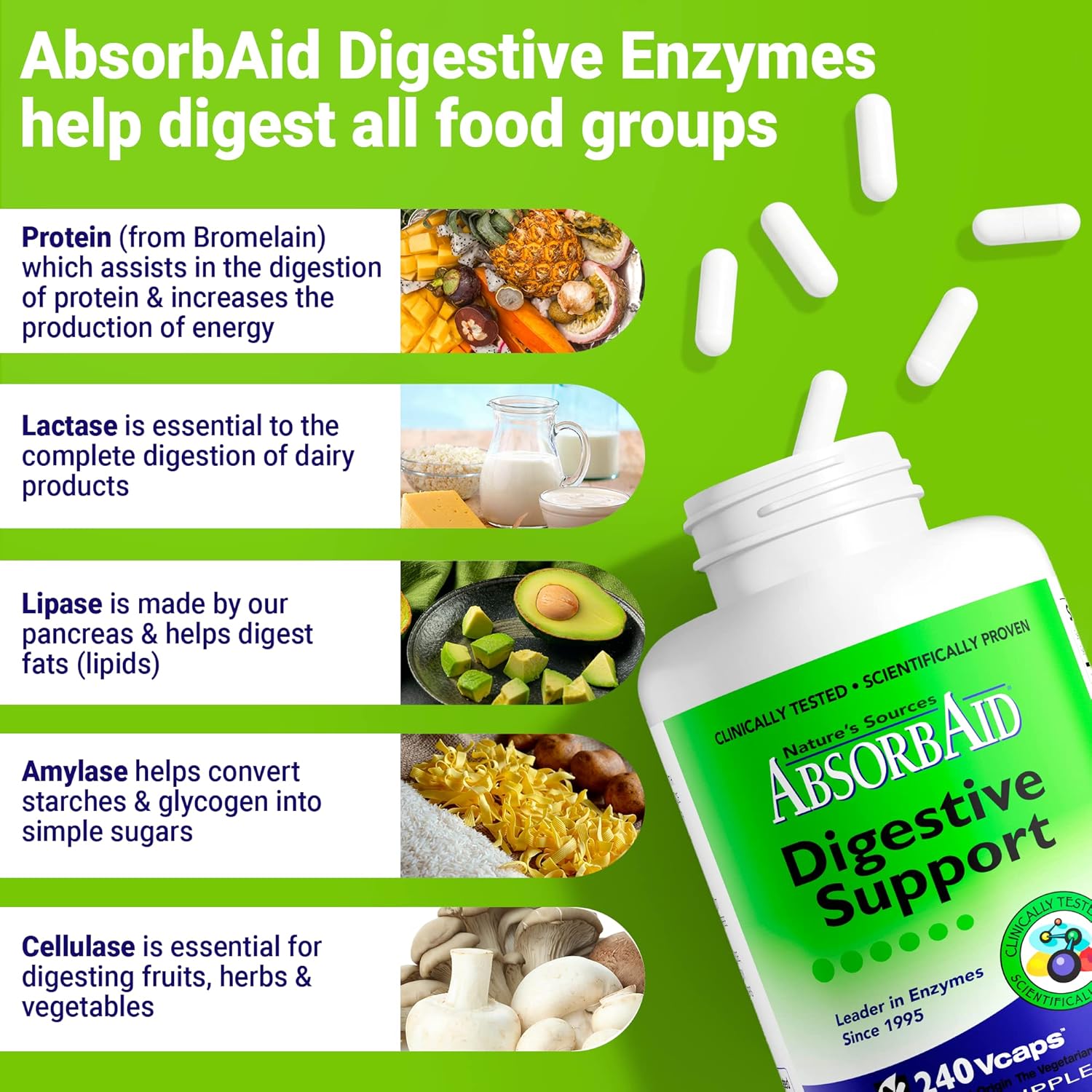 AbsorbAid Enzimas digestivas 240 vCaps, probado para aumentar la absorción de nutrientes vitales hasta en un 71%