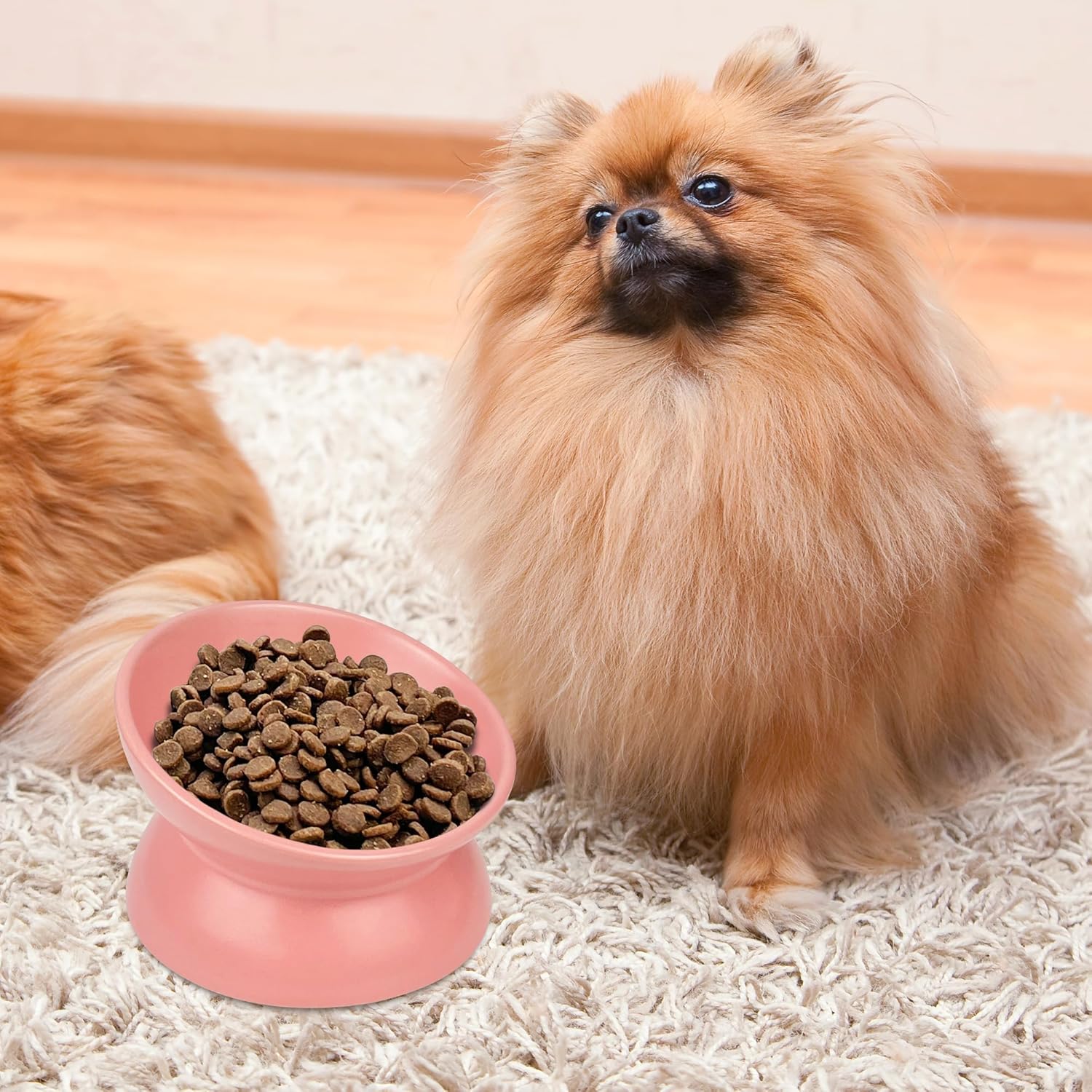 PAILUOMU – Tazones elevados de cerámica para gatos, juego de 2 cuencos elevados inclinados para alimentos y agua para mascotas, plato comedero para