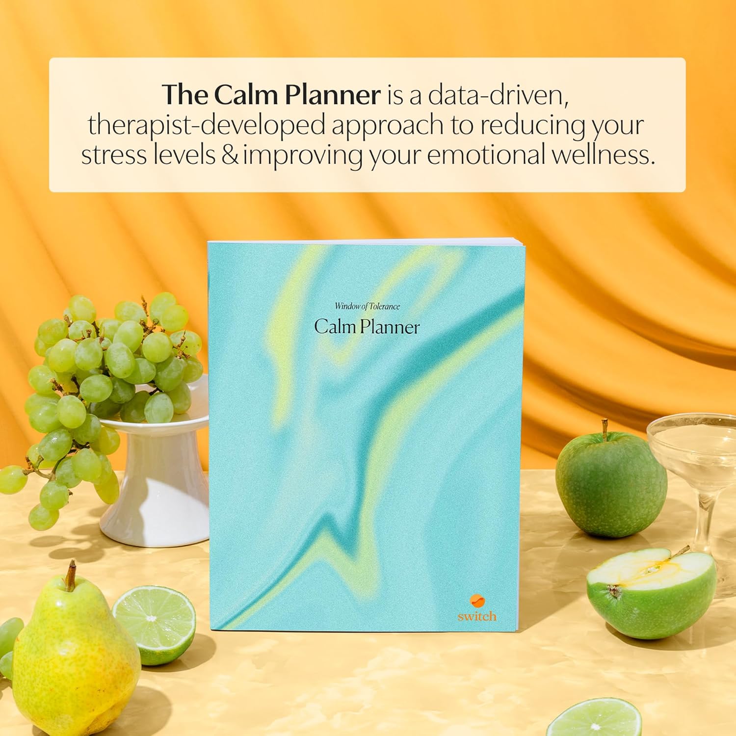 Switch Research Calm Planner – Planificador de objetivos sin fecha desarrollado por psicólogos, planificador de cuidado personal de 31 días con