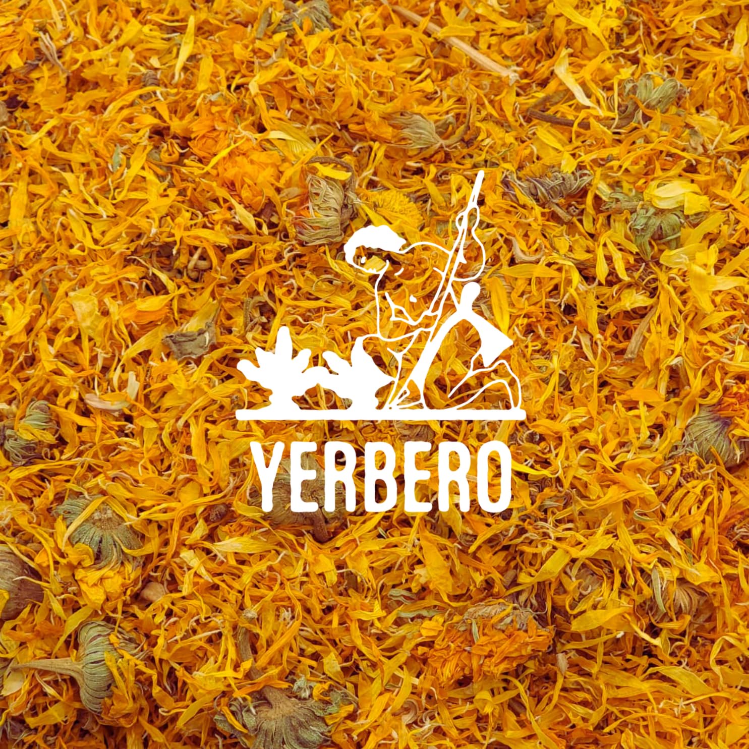 Yerbero – Flores de caléndula té de hierbas sueltas a granel 16oz (1 lb) (4.02 oz)  Flores de caléndula  Flores de caléndula  Para preparar té de