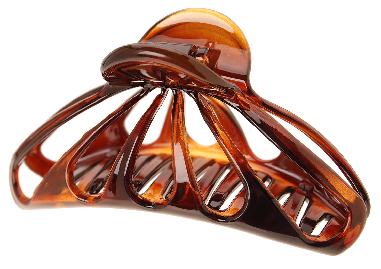 France Luxe Mandíbula grande Nautilus – Tortuga