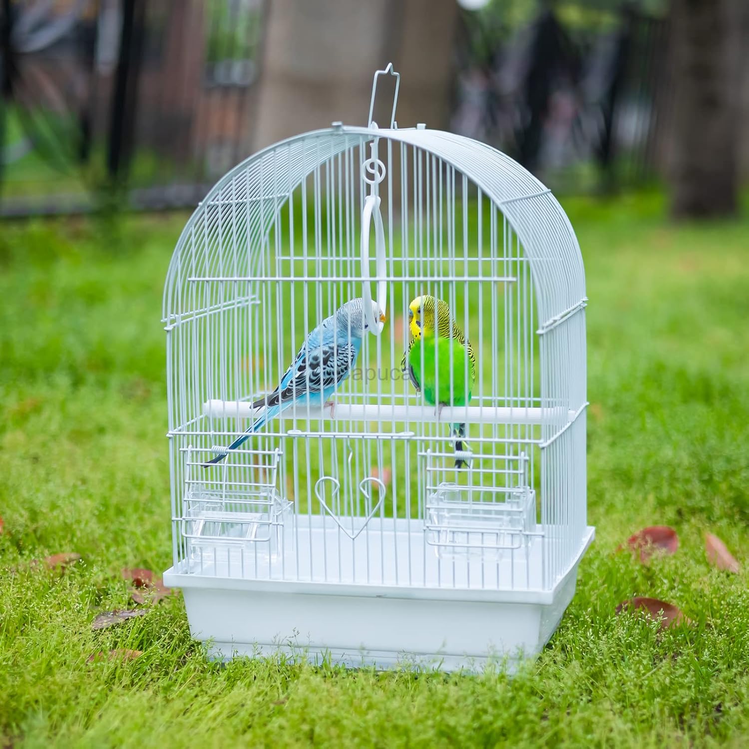 Capuca Jaula de viaje para pájaros pequeños, kit de iniciación ligero para pájaros pequeños con jaulas y accesorios, ideal para periquitos,
