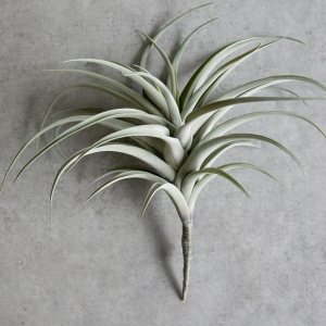 Ebros Gift Paquete de 4 plantas de aire artificiales realistas y realistas, tallos verdes, botánica, 17 pulgadas de alto, para el hogar, jardín, Ebros Gift Paquete de 4 plantas de aire artificiales realistas y realistas, tallos verdes, botánica, 17 pulgadas de alto, para el hogar, jardín,