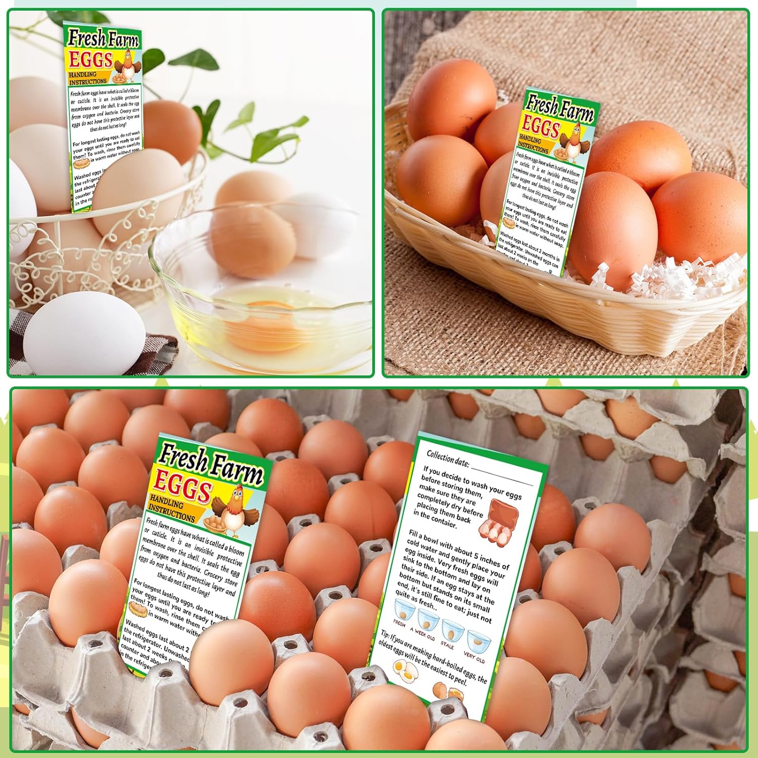 250 unidades de instrucciones de manejo de huevos frescos de granja de 2 x 3.5 pulgadas, tarjetas de visita, sellos de huevos, tarjetas de