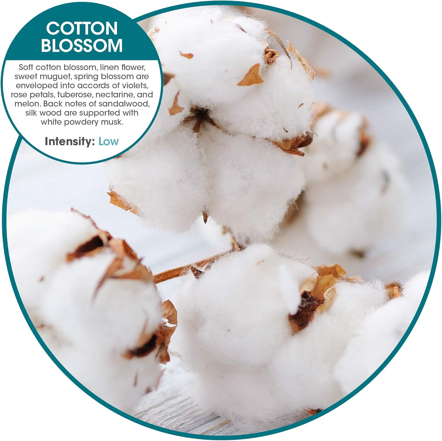 Fresh Products Recambio Eco-Air, ambientador, repuesto de fragancia seca, aceites naturales, sin acetona ni propulsores, dura 30 días, ecológico,