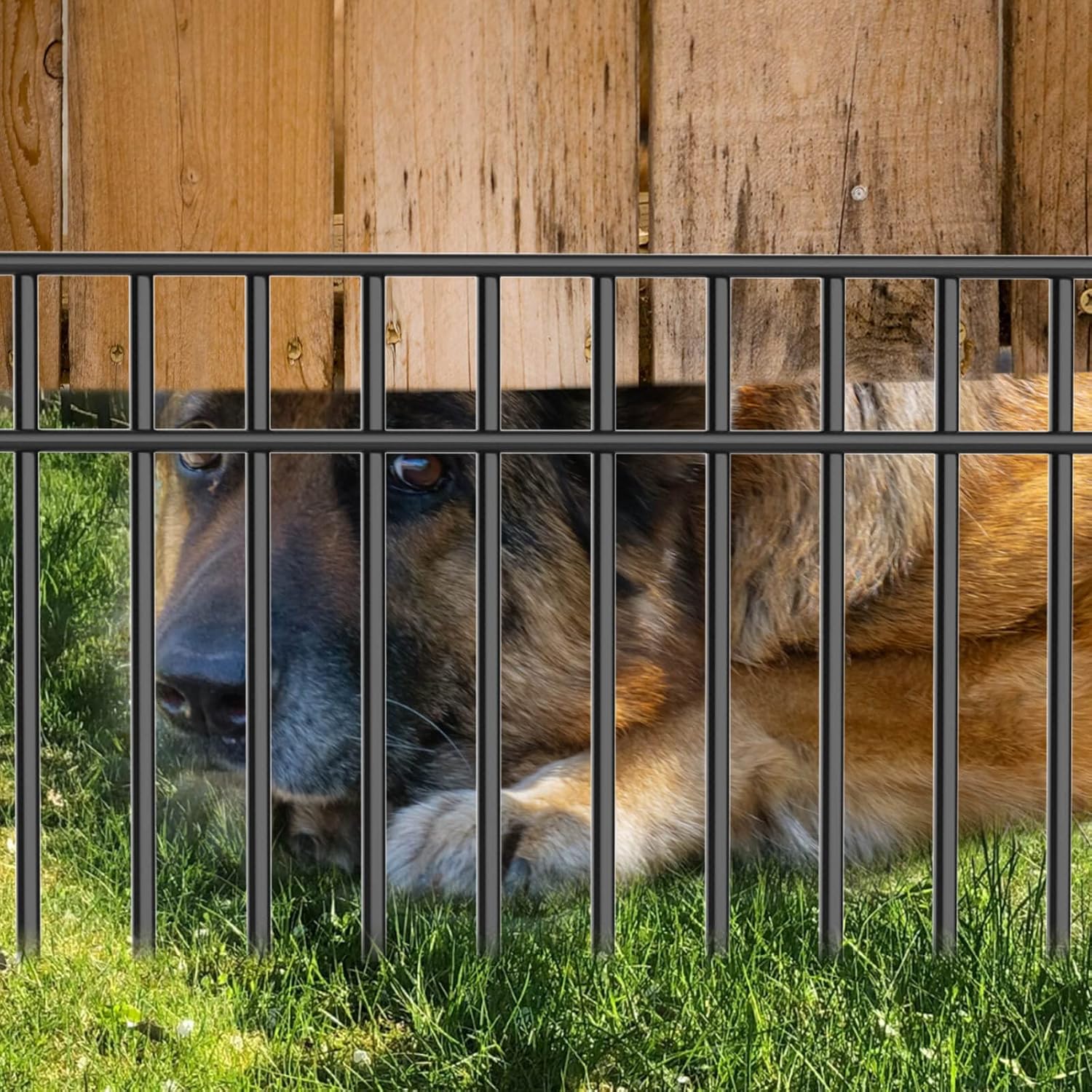 Paquete de 15 vallas de barrera sin excavación para perros de 24 x 15 pulgadas, acero galvanizado recubierto de negro, valla de barrera de animales,