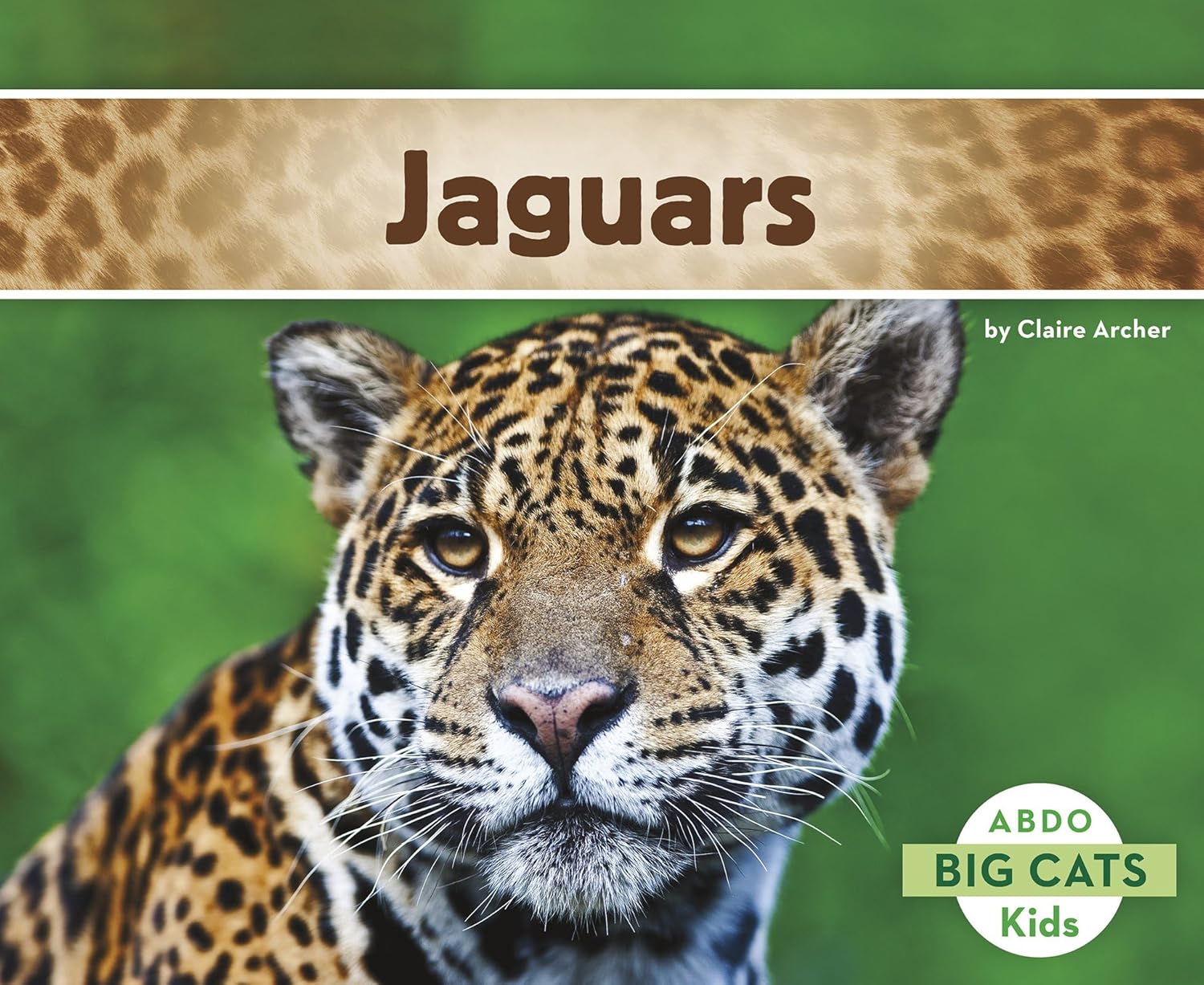 Paquete de lectura para principiantes de Wild Cats Explora el mundo de gatos, leones, jaguares, guepardos y leopardos – 4 libros atractivos para