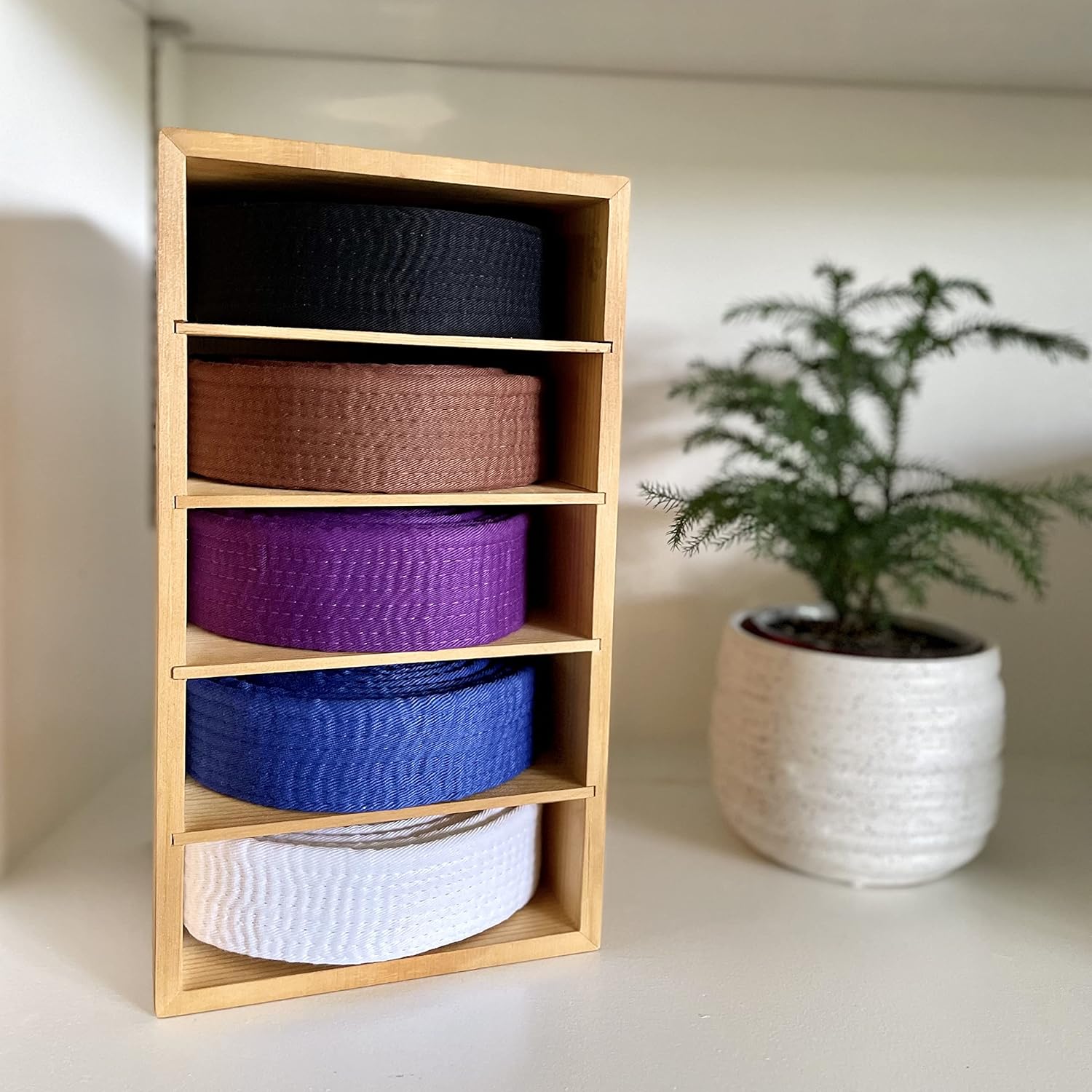 Exhibidor de cinturón brasileño de Jiu Jitsu  Caja de cinturón de pino  Estante para cinturón BJJ para 5 cinturones  de blanco a negro  Estuche para