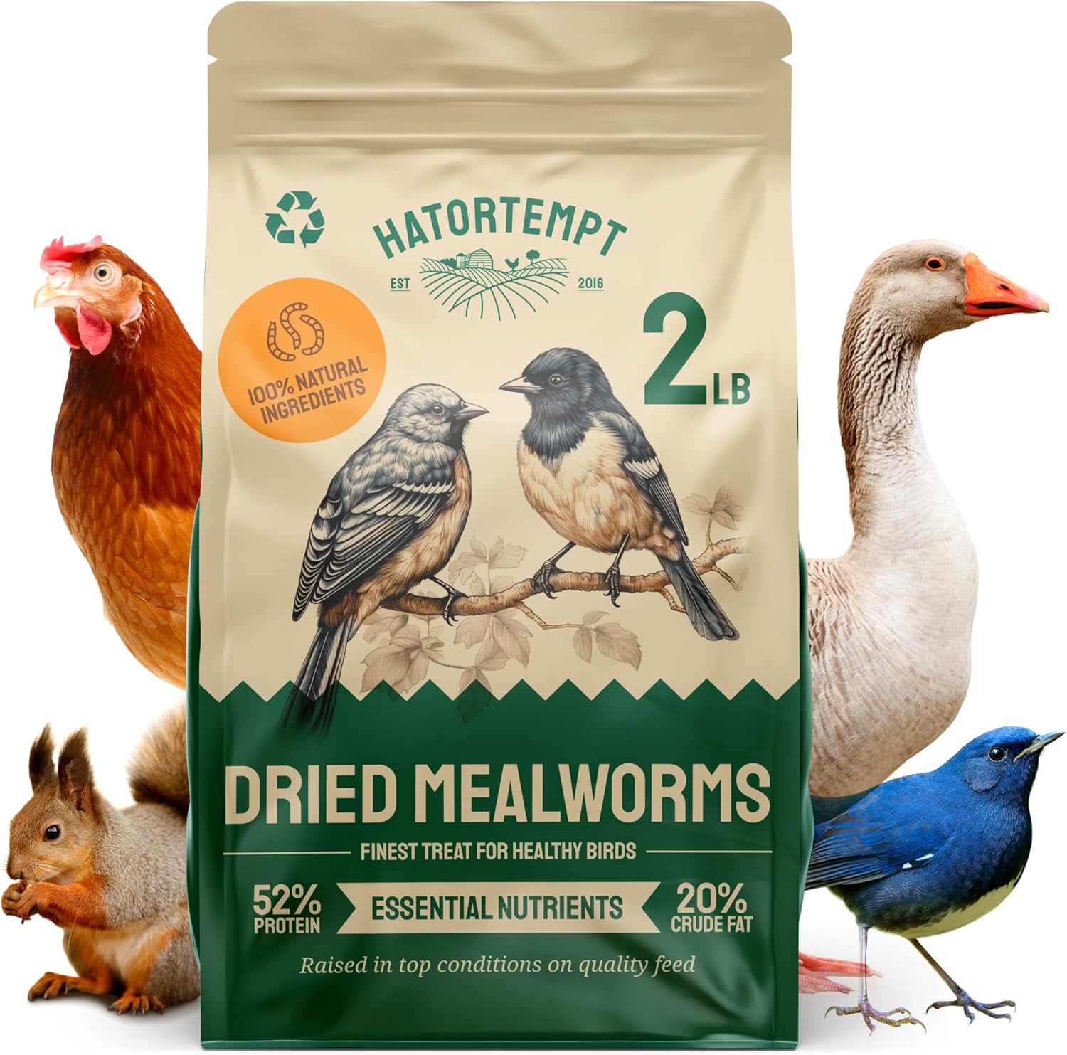 Gusanos de harina secos de 2 libras para aves silvestres y pollos, alimento orgánico prémium sin OMG – Gusanos nutritivos de comida secos con alto