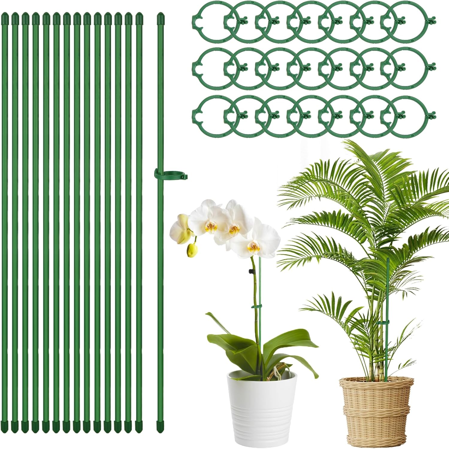 100 estacas de 15.7 pulgadas para plantas de fibra de vidrio verde ajustable para jardín con 100 anillos de hebilla para plantas de interior y
