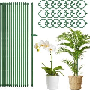 100 estacas de 15.7 pulgadas para plantas de fibra de vidrio verde ajustable para jardín con 100 anillos de hebilla para plantas de interior y 100 estacas de 15.7 pulgadas para plantas de fibra de vidrio verde ajustable para jardín con 100 anillos de hebilla para plantas de interior y