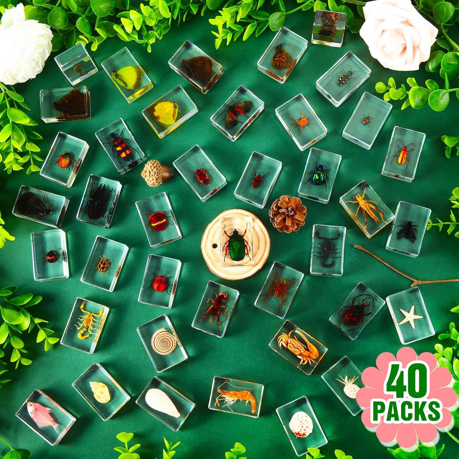 40 piezas de insectos en resina colección de insectos pisapapeles insectos reales en resina, varios insectos preservados en resina colección de