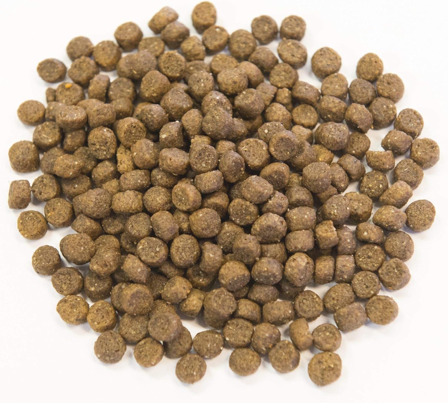 Muenster Perfect Balance – Harina de pollo con granos antiguos  Alimento seco para perros sin gluten  croquetas completas y equilibradas para perros
