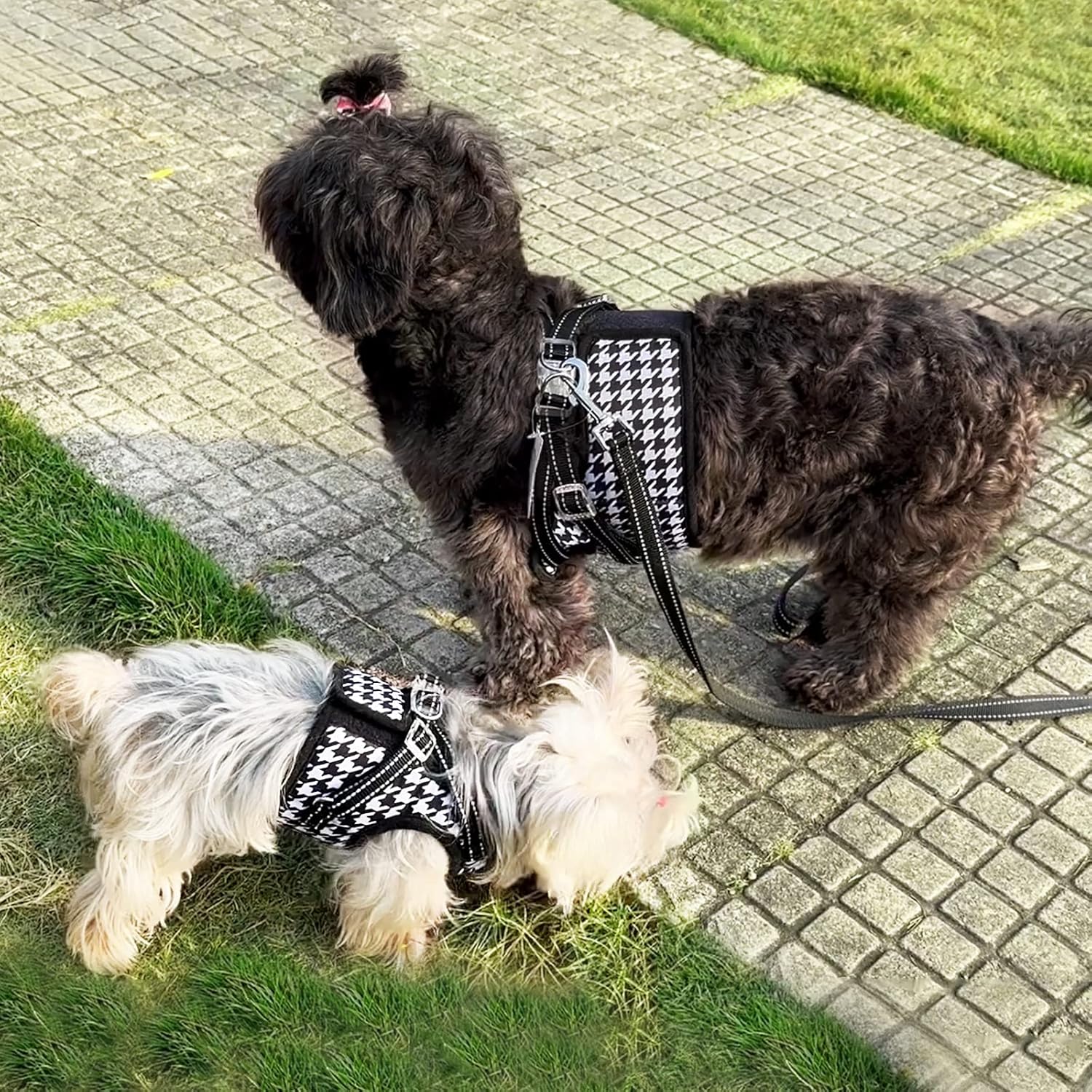 Arnés a cuadros para perro, arnés para perro pequeño sin tirones, juego de arnés suave para cachorros y correa, arnés para perro XS, arnés para